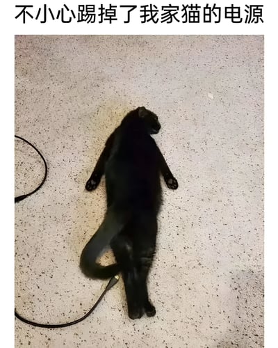一张黑色猫咪四脚朝天躺在地毯上的照片，猫咪尾巴处连接着一根黑色电线，仿佛是猫咪的电源。图片上方配有文字'不小心踢掉了我家猫的电源'，用拟人化的方式幽默表现猫咪被拔掉'电源'后摊倒在地的可爱模样。