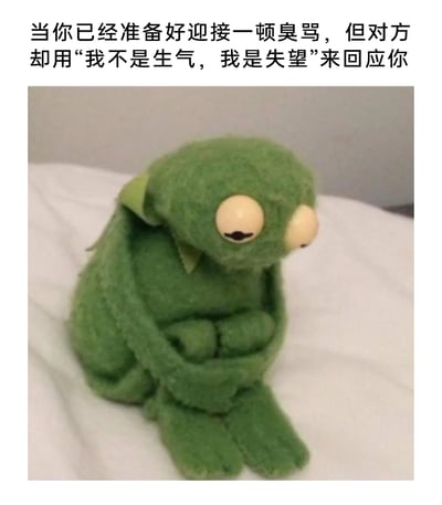 这是一张图文结合的情绪表情包，上方配文精准描绘了一种极具共鸣的日常场景：当自己犯错后，已经做好了被激烈指责的心理准备，结果对方却用“我不是生气，我是失望”来回应，这种话语比起愤怒的责骂更能让人产生强烈的愧疚感与无力感；下方是美国儿童节目《芝麻街》中的角色科米蛙的玩偶，它蜷缩着身体，双手抱在胸前，眼皮耷拉、眼神黯淡，整只蛙看起来蔫蔫的，低落的姿态完美契合了被“失望”回应打击后，内心充满愧疚、无措又沮丧的情绪，很容易让有过类似经历的人产生强烈共鸣。