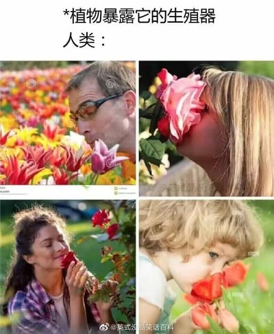 这是一张四格拼接的搞笑梗图，上方配有文字“*植物暴露它的生殖器 人类：*”，下方四个格子分别展示了不同年龄段、性别的人凑近花朵闻花香的真实照片：成年男性专注地凑近花丛闻香、女性把脸埋进花朵中、女性手持花朵一脸享受地闻香、小孩好奇地凑近花朵闻香。
笑点解析：利用“花是植物的繁殖器官（生殖器）”这一冷知识，解构人类习以为常的闻花行为，制造出荒诞又搞笑的反差感，让普通的日常场景突然变得“微妙”起来，引发观者的趣味联想。