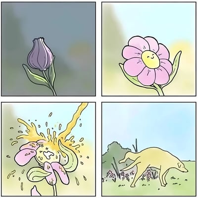 四格漫画展示了一朵花从含苞待放到盛开，然后被狗尿浇毁的全过程。第一格是紫色花苞，第二格是盛开的粉色花朵带着笑脸，第三格花朵被黄色液体喷洒后损坏，第四格显示一只黄色的狗正在花丛中撒尿。