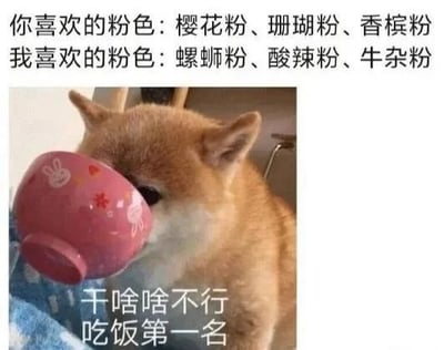 这是一张搞笑表情包，采用图文混排形式，上方文字利用“粉”的双关含义做反差对比：普通人喜欢的粉色指樱花粉、珊瑚粉、香槟粉这类浅粉色系颜色，而吃货喜欢的“粉色”指螺蛳粉、酸辣粉、牛杂粉这类名称中带“粉”字的食物。下方配图为一只橘色柴犬将整张脸埋进带有兔子图案的粉色饭碗中进食的可爱画面，图片底部还配有文字“干啥啥不行 吃饭第一名”，进一步强化了吃货的趣味人设，整体内容幽默接地气，很有共鸣感。