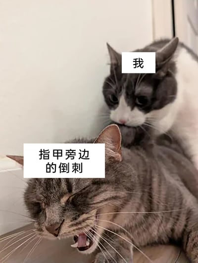 这是一张趣味宠物梗图，通过两只猫咪的互动场景具象化日常小烦恼：上方的灰白猫咪被标注为“我”，表情低落无奈，咬着下方灰猫的脖子；下方的灰猫被标注为“指甲旁边的倒刺”，表情痛苦、张嘴挣扎。生动还原了人们被指甲旁的倒刺困扰，明明知道撕扯倒刺会难受，却还是忍不住去处理的矛盾又真实的日常状态，用可爱的宠物画面放大了这种小烦恼的趣味性。