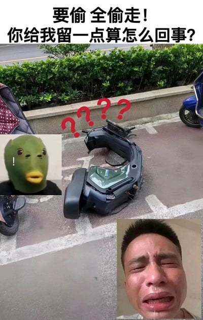 这是一张搞笑吐槽类的图文混排梗图，画面中心是被偷得只剩空壳的电动车，仅残留车座下方的外壳部分；上方配文“要偷 全偷走！你给我留一点算怎么回事？”，旁边添加了红色问号强化疑惑感；左侧拼接了一脸震惊的绿头鱼表情包，右下角拼接了崩溃大哭的男性表情包，通过夸张的视觉元素组合，生动表现出车主发现电动车被偷得只剩空壳时，那种无语、崩溃又充满疑惑的心情，用搞笑的方式吐槽小偷这种偷一半留一半的迷惑行为。