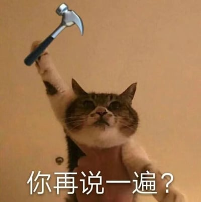 一只表情愤怒的猫站立着，右前爪高高举起一把锤子，背景是浅色墙壁。图片底部有文字“你再说一遍？”，整体营造出一种威胁、愤怒的氛围，常用于表达对他人言论的不满或警告。