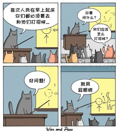 这是一组四格卡通连环漫画，采用拟人化的猫咪课堂场景展开内容：第一格中，灰色猫老师站在讲台上，用教鞭指着黑板上的人类简笔画，告知台下的小猫们，人类早上起床时要去和他们打招呼；第二格中，一只橘粉色小猫举手提问打招呼的方式，猫老师先反问“你要问什么？”；第三格猫老师夸赞这是好问题；第四格猫老师指向黑板上猫咪对着人类露出屁股的图示，给出“就用屁眼哦”的答案，还原了现实中猫咪会向熟悉的人露出屁股的真实习性，用荒诞的教学场景制造出反差搞笑的效果。