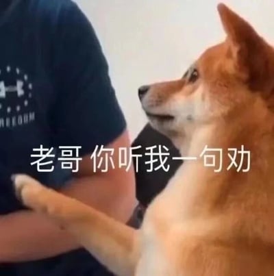 这是一张经过文字加注的静态表情包，画面主体是一只侧头的柴犬，它抬起一只前爪搭在画面左侧人物的胳膊上，表情看起来十分认真，仿佛正在苦口婆心地劝说对方。图片下方添加了白色文字“老哥你听我一句劝”，将柴犬的动作拟人化，赋予了它劝说他人的语境，适合在社交聊天中用于想要劝阻朋友、给出建议的场景，温和的宠物形象让劝说的语气不会显得生硬，更容易被接受。