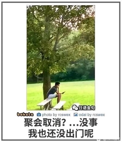 这是一张利用视觉错位效果的搞笑梗图，图中男子看似坐在高大树木的树杈上，实际是坐在树下的长椅上，树木的枝干与长椅的位置巧合形成了视觉错觉。图下方配有文字“聚会取消？...没事 我也还没出门呢”，借由这个错位场景营造出一种“假装正在赶去聚会的路上，实则根本没出门”的效果，用自嘲又轻松的方式化解聚会取消的小尴尬，充满日常幽默的氛围。