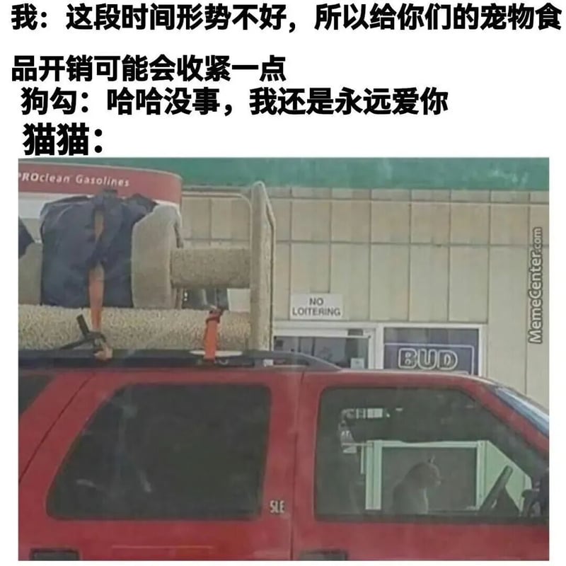 狗