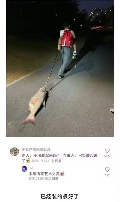 图片上半部分呈现夜晚户外的道路场景，一名背着红色背包、戴着手套的人，手持钓鱼装备，用类似遛狗的牵引绳拖着一条体型不小的鱼在路上行走；下半部分是社交平台的评论区，第一条评论来自用户“不要睁着眼睛乱说”，内容为“路人：不用装起来吗？当事人：已经装起来了”，第二条评论来自用户“LN”，内容是“中华语言艺术之美”，图片底部还有配文“已经装的很好了”。这张图的核心笑点是双关梗：“装起来”字面含义是将鱼装进容器妥善放置，而当事人的做法是把鱼像遛宠物一样“装”成被牵引的对象，通过语言的歧义制造出搞笑效果，展现了中文表达的趣味性。