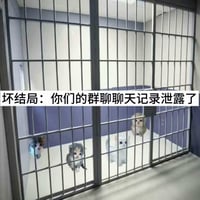 可怜小猫