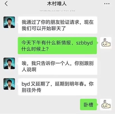 这是一张竖屏手机格式的微信风格聊天记录合成截图，模拟了用户与名为“木村唯人”的联系人的对话场景：用户添加对方为好友后，立刻用拼音缩写“szbbyd”（深圳比亚迪）询问相关项目的上线时间；对方以“只告诉你一个人”的保密口吻，透露“byd”（比亚迪）相关项目又延期到明年春天，并叮嘱不要外传；用户看到消息后回复“卧槽”，表达出惊讶与无奈的情绪。图中使用了真人头像和瘫坐兔子卡通表情包作为双方的聊天头像，通过对话调侃项目延期的情况，其中的拼音缩写属于网络常用的简称梗。