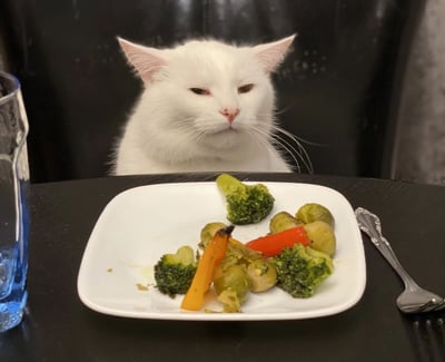 这是一张原始拍摄的静态单图，画面将猫咪拟人化，一只白色猫咪端坐在餐桌前，模仿人类用餐的场景。猫咪半眯着眼睛，嘴角下撇，满脸嫌弃地盯着面前白色方盘里的烤蔬菜，盘中食材包括西兰花、烤彩椒、抱子甘蓝等。黑色餐桌的左侧有一个蓝色玻璃杯，右侧摆放着一把花纹精致的小叉子，猫咪嫌弃的神情让画面充满趣味，仿佛在表达对这份餐食的强烈不满。