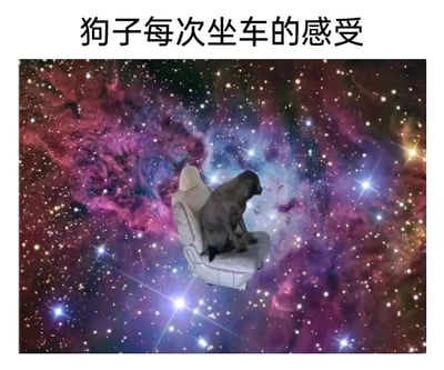 这张梗图描述了狗狗每次坐车时的感受。画面中，一只狗狗坐在汽车座椅上，背景却被P成了壮观的银河星云，搞笑地表达了狗狗坐车时如同穿越宇宙般的超现实体验，夸张了宠物对日常事物的奇异感受。

图中有一定的夸张和幽默效果，通过宇宙作为背景的反差，增强了拟人化和荒诞感。