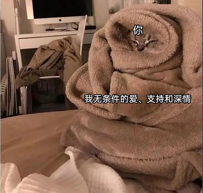 这是一张经过文字加注改编的趣味温情梗图，画面主体是一只被厚厚的毛绒毯子层层包裹的猫咪，仅露出半张脸，猫咪眼神半睁，表情慵懒中带着一丝无奈。图中用文字将猫咪标注为“你”，将包裹它的毯子标注为“我无条件的爱、支持和深情”，以形象的视觉化方式，把抽象的爱意转化为具象的包裹感，传递出会用满满的在乎、支持与深情围绕对方的温暖情绪，风格可爱治愈，适合在亲密关系、朋友间用来表达自己的心意。
