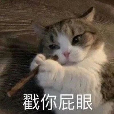 暂无描述