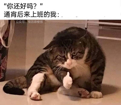 这是一张职场主题的搞笑表情包，上方配有两段文字，分别是他人的询问“你还好吗？”和标注“通宵后来上班的我：”，下方主体是一只看起来极度疲惫的狸花加白猫咪，它瘫坐在地面上，眼神涣散、精神萎靡，却还是伸出一只爪子做出竖大拇指的姿势，精准地还原了打工人通宵后强撑着上班，身体已经累到极致却还要装作状态尚可的无奈状态，能够引发职场群体的强烈共鸣。