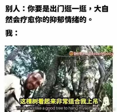 这是一张图文混排的梗图，上方文字是他人对抑郁者的建议：“你要是出门逛一逛，大自然会疗愈你的抑郁情绪的。”，下方配了一张树林里男子探出头的照片，照片上添加了文字“这棵树看起来非常适合我上吊”，同时还有对应的英文翻译。
这张图用强烈的反差和黑色幽默，讽刺了外界对抑郁情绪的简单化理解——抑郁者并不会因为“出门接触自然”就被轻易治愈，反而会产生消极的联想，精准戳中了抑郁情绪不被理解的无奈处境，用夸张的方式表达了抑郁情绪的沉重，并非简单的建议就能化解。