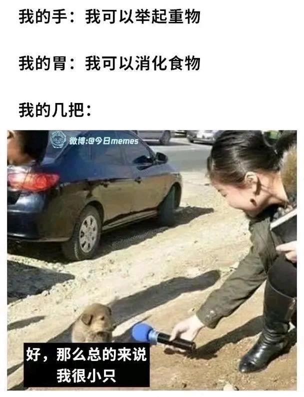 女记者