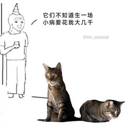 这是一张用来调侃养宠压力的合成梗图，画面左侧是一个戴着锥形帽、手持杯子、神情无奈低落的简笔画人物，画面下方是两只狸花猫，一只端正坐立平静看向镜头，一只趴坐低头神情低落。配文“它们不知道生一场小病要花我大几千”，精准表达了养宠人士面对宠物高额医疗费用的无奈：宠物无法理解主人的经济压力，而主人即便承受经济负担，依然会为宠物的健康付出，引发广大养宠人群的共鸣。