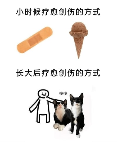 暂无描述
