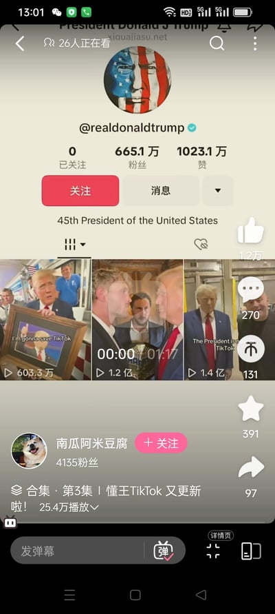 这是B站用户“南瓜阿米豆腐”发布的视频截图，展示了标注为@realdonaldtrump的TikTok认证账号主页，账号介绍为“45th President of the United States（美国第45任总统）”，拥有665.1万粉丝、1023.1万获赞。主页展示了三条特朗普相关视频，播放量分别为603.3万、1.2亿、1.4亿，其中第一条视频配文“I'm gonna save TikTok”，第三条配文“The President is now on TikTok”。B站视频属于“懂王TikTok又更新”系列合集第3集，已有25.4万播放量。