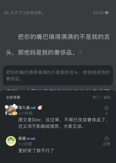 这是一张竖屏的弹幕视频平台屏幕截图，顶部显示编号为39的文案“大不了让你亲回来。”，下方是核心趣味文案“把你的嘴巴填得满满的不是我的舌头，那他妈是我的奢侈品。”，该文案被重复展示。在弹幕评论区，用户“落九盏”发布评论说明，该文案原本用词是“Dior”，因为无法通过审核才替换成“奢侈品”，还表示近义词不影响阅读请大家见谅；另一位用户“枫离w”则评论称修改后的版本更好笑。整个内容因审核机制产生了文案替换，形成了意料之外的搞笑反差效果。