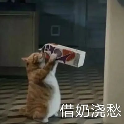 这张图是一只橘猫抬着一大盒牛奶咕咚咕咚喝的样子，显得很有情绪。图片右下角配有大字“借奶浇愁”，用拟人手法把猫的行为与人类借酒消愁的心态结合，既有趣又带点小小的自嘲。常用于表达面对烦恼时无奈又搞笑的情绪。

双关/暗示：借用“借酒浇愁”变体为“借奶浇愁”，体现猫咪和人的情感共鸣，兼有谐音及情绪梗。