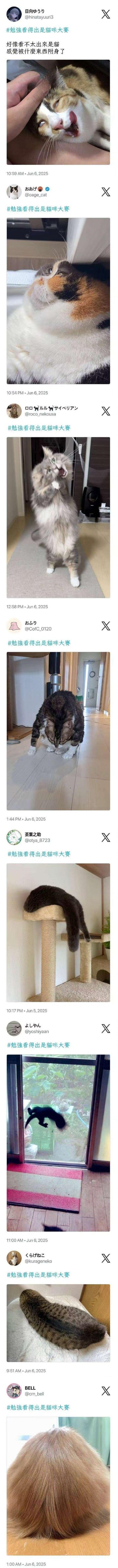 这是一组来自X（原推特）的用户投稿合集，围绕#勉强看得出是猫咪大赛标签展开，网友们晒出各种因拍摄角度、视觉错位、特殊姿态导致外形崩坏的猫咪照片：有的猫咪被拍得像诡异附身生物，有的因错位呈现「双头」效果，有的姿态扭曲完全看不出猫的样子，每一张都需要仔细辨认才能发现是猫咪，充满搞笑的反差感，是宠物爱好者自发的趣味晒图活动。
