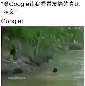 这是一张图文结合的搞笑梗图，上半部分是文字内容：用户向Google提问“嘿Google让我看看友情的真正定义”，下半部分是Google给出的“答案”——一段动态GIF：几名站在水边的人，其中一人突然将身边的同伴推入水中，其余人也做出起哄或效仿的动作，用这个真实又滑稽的场景调侃“友情就是互相坑队友”，整体风格搞笑无厘头，没有双关或谐音梗。