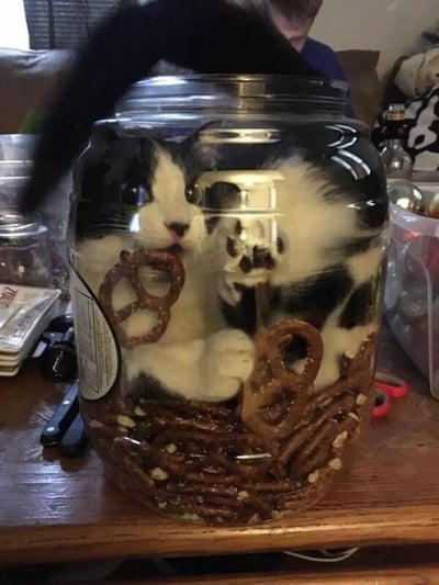 一只黑白相间的猫咪钻进了一个装满椒盐卷饼的透明玻璃罐里，正叼着一块椒盐卷饼专注地啃食，尾巴从罐子口高高翘起。背景中可以看到客厅的沙发、模糊的人影以及一些日常家居物品，营造出温馨的生活氛围。猫咪挤在罐子里的可爱模样和偷吃零食的行为充满了趣味性，让人忍俊不禁。