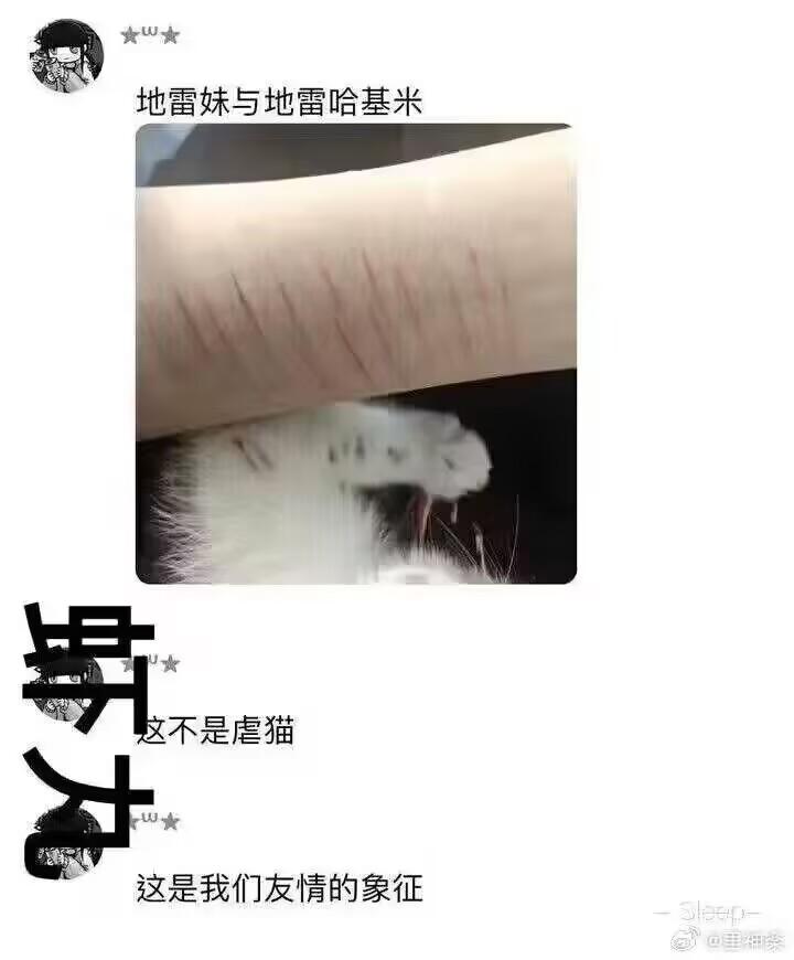 哈基米