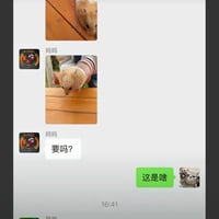 疑惑猫咪