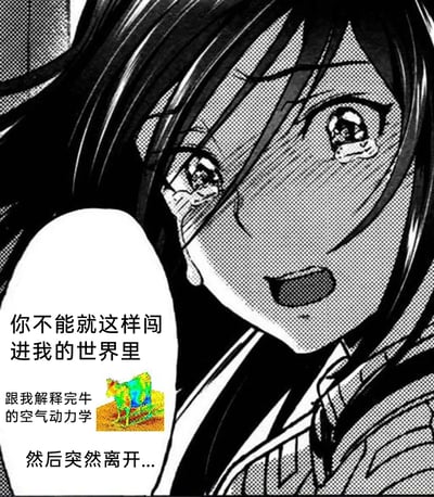 这是一张经过二次创作的搞笑梗图，主体为黑白日系动漫风格的哭泣女孩，她眼角挂泪，表情悲伤又带着恳求，嘴巴张开似在哭诉。旁边的对白气泡中配有文字：“你不能就这样闯进我的世界里 跟我解释完牛的空气动力学 然后突然离开...”，还附带了一张彩色的牛的空气动力学流体模拟图。图中用言情剧式的悲伤哭诉语气，来调侃那种突然给人科普无厘头冷知识后就消失的行为，通过反差感制造出搞笑的效果。