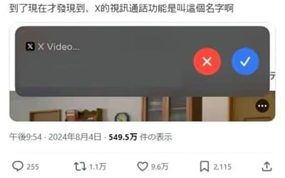 图片展示了一条社交媒体动态，内容是用户发现X平台（原Twitter）的视频通话功能名称时的惊讶反应。动态上方配有文字“到了現在才發現到、X的視訊通話功能是叫這個名字啊”，下方是X应用的视频通话功能弹窗截图，显示“X Video...”字样，弹窗右侧有红色关闭按钮和蓝色确认按钮。截图底部可见该动态的互动数据，包括255条评论、1.1万次转发、9.6万次点赞和549.5万次查看，发布时间为2024年8月4日下午9:54。