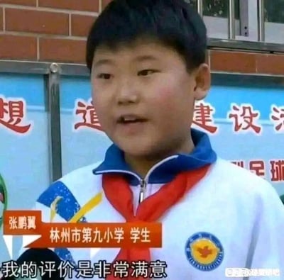 这是一段校园相关新闻采访的视频截图，图中人物是河南林州市第九小学的学生张鹏翼，他身着带有校徽的校服、佩戴红领巾，正对着镜头接受采访。画面下方配有字幕“我的评价是非常满意”，背景是学校的宣传标语栏，能看到“想”“道”“建设”等字样。这张截图被网友用作表达对某事高度认可的梗图，可在多种场景下传递满意的态度，没有双关、谐音梗等特殊隐含含义。