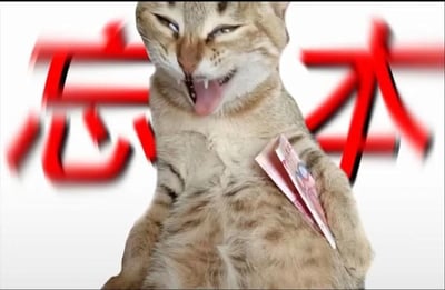 这是一张经过拟人化修图的搞笑表情包，主体是一只真实的猫咪，被P上了类似人类手臂的姿态，一只“手”里攥着几张人民币。猫咪面部表情夸张，眼睛半眯，嘴巴大张露出牙齿和舌头，看起来得意又欠揍。图片背景为纯白色，后方叠加了模糊的红色大字“忘本”，结合猫咪持币的姿态，用来讽刺和调侃那些获得利益后就忘记初心、丢掉本分的人，用动物拟人化的方式增强了搞笑和讽刺的效果，无谐音梗或双关含义。