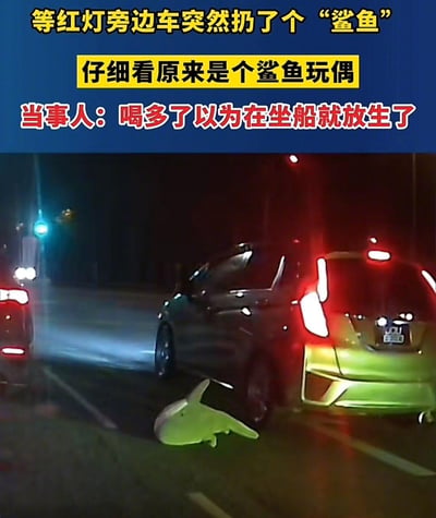 夜晚的街道上，几辆汽车正在等待红灯。在红色和绿色的车灯映照下，可以看到一个绿色的鲨鱼玩偶掉落在两辆汽车之间的马路上。图片上方配有文字说明整个事件：等红灯时旁边车突然扔了个“鲨鱼”，仔细看原来是个鲨鱼玩偶，当事人称喝多了以为在坐船就放生了。整个场景充满了意外的喜剧效果，展现了一个因醉酒引发的搞笑误会。
