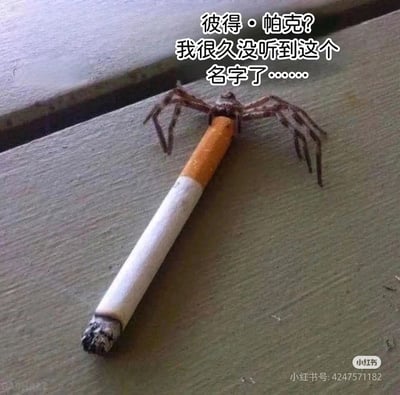 这是一张充满恶搞趣味的梗图，画面中一只蜘蛛趴在一支抽过的香烟顶端，搭配文字“彼得·帕克？我很久没听到这个名字了……”，玩起了漫威蜘蛛侠的经典IP梗：彼得·帕克是被变异蜘蛛咬后成为超级英雄蜘蛛侠的主角，而图中的蜘蛛与香烟结合的画面，仿佛在暗示这个“蜘蛛”已经不再是那个赋予英雄能力的存在，而是变得落魄、沧桑，用充满感慨的台词制造出强烈的反差感，以此达到荒诞搞笑的效果。