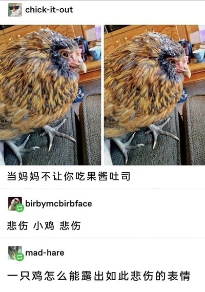 这是一张经过汉化的海外社交平台搞笑梗图，画面主体是左右并列的两张同一只小鸡的照片，左侧小鸡眼睛睁大，右侧小鸡半眯着眼，神情低落，仿佛在难过。上方配文“当妈妈不让你吃果酱吐司”，将小鸡的表情拟人化，对应小孩被拒绝吃想吃的食物后的低落情绪；下方还有两条用户评论，分别重复“悲伤 小鸡 悲伤”和发出“一只鸡怎么能露出如此悲伤的表情”的感叹，进一步强化了这个拟人化的搞笑效果，用动物的真实表情来引发人们对类似日常经历的共鸣，充满趣味。