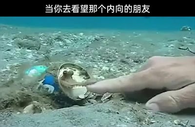 暂无描述