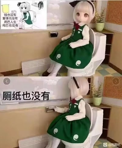 图片展示了一个穿着绿色波点连衣裙的娃娃坐在马桶上的场景，背景是带有植物装饰的浴室。左上角有一个黑白插画小图，画中人物同样坐在马桶上，配文'钱也没有 爱情也没有 鸡巴人生 鸡巴也没有'。主图底部有文字'厕纸也没有'，延续了插画中的自嘲风格，通过娃娃模仿插画姿势，幽默地表达生活困境。