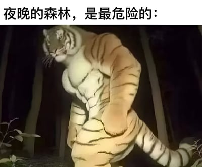 图片上方有文字“夜晚的森林，是最危险的：”，下方是一只站立的老虎形象。这只老虎拥有异常发达的肌肉线条，呈现出类似人类健美运动员的夸张肌肉形态，与普通老虎的形象形成强烈反差，营造出幽默搞笑的效果。