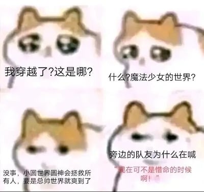 这是一张四格连环梗图，采用网络流行的委屈猫咪表情包作为画面主体，通过猫咪的表情变化和配文，讲述了一个穿越者的搞笑心路反转：第一格中猫咪一脸迷茫，配文表现出穿越后的困惑；第二格猫咪露出惊讶神情，得知自己身处魔法少女的世界；第三格猫咪放松下来，配文提到《魔法少女小圆》里的圆神会拯救众人，还表示如果是《少女歌剧 Revue Starlight》的“总帅”相关世界会很“爽”，体现出对不同魔法少女题材作品的认知；第四格猫咪瞬间变得惊恐，配文显示队友喊出“现在可不是惜命的时候啊！”，打破了穿越者的侥幸，暗示当前所处的世界充满危险，制造出强烈的搞笑反转效果，精准戳中二次元爱好者的笑点。