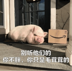 猪：我不是胖，只是毛茸茸的