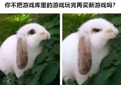 图片上方有文字'你不把游戏库里的游戏玩完再买新游戏吗？'，下方是左右两张相同的白色垂耳兔在绿色草丛中的照片，兔子侧头啃食叶子，表情淡定，仿佛对上方的质问不予理会，用可爱动物的反应幽默表现游戏玩家面对'先玩完库存再买新游戏'质问时的回避心态。