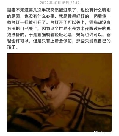 这是一则发布于2022年10月18日22:12的图文混排内容，上方是一段以狸猫为第一视角的拟人化文案：狸猫毫无缘由地在半夜突然醒来，形容自己像被意外打开的台灯，却找不到“关上”自己的办法，感慨这个世界似乎没有为深夜醒来的“狸猫”准备容身之处，最后它轻轻唱出“妈妈也许可以，爸爸也许可以，但是只有上帝会保佑，那些只能靠自己的孩子”，将独自面对一切的孤独感拉满；下方搭配一张狸猫的实拍图，狸猫半睁着困倦的眼睛，被格子被子盖着躺在床上，神情低落落寞，和文案传递的情绪高度契合，整体内容以拟人的方式，借狸猫的深夜处境，抒发了独自生活、无人依靠的人在深夜里的落寞与自我慰藉，容易引发同类人群的情绪共鸣。
