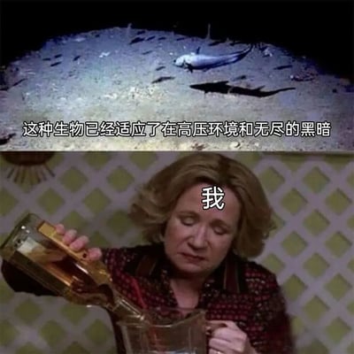 图片分为上下两部分。上半部分是深海场景，昏暗的海床上有几条鱼，配文“这种生物已经适应了在高压环境和无尽的黑暗”；下半部分是一位金发女性正拿着酒瓶往杯子里倒酒，额头处标注“我”。通过将深海生物对极端环境的适应能力与“我”倒酒的行为进行幽默对比，暗讽自身在高压生活中的“适应”状态，带有自嘲和无奈的搞笑意味。