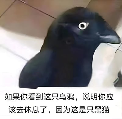 图片主体是一只黑猫的特写，其头部轮廓、黑色毛发以及被突出的圆眼睛和尖嘴造型，从视觉上极易被误认为是一只乌鸦。图片下方配有文字：“如果你看到这只乌鸦，说明你应该去休息了，因为这是只黑猫”。通过制造“将猫误认成乌鸦”的视觉错觉，以幽默方式暗示观看者可能因疲劳导致视觉判断失误，从而提醒其需要休息。