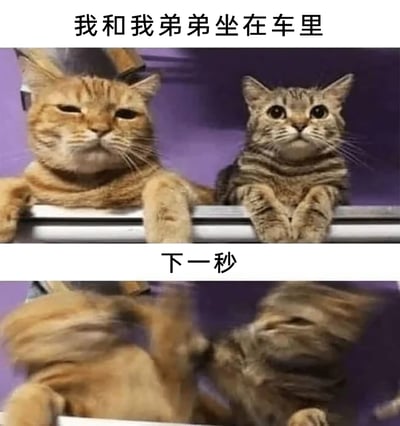 这是一张上下分栏的连环对比表情包，上半部分展示了一只半眯着眼、神态慵懒的橘猫和一只睁着大眼睛、神态乖巧的狸花猫，两只猫前爪搭在栏杆上，配文“我和我弟弟坐在车里”，模拟出兄弟姐妹安静共处的温馨场景；下半部分则是两只猫动作模糊、互相挥爪打斗的画面，配文“下一秒”，生动呈现出前一秒和谐、下一秒就起冲突的反差感，用猫咪的真实互动调侃了兄弟姐妹之间相爱相杀的日常相处模式，充满搞笑趣味。
