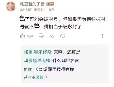 这是一张哔哩哔哩（B站）的评论区截图，发布者为用户“吃豆包的丁酱”，账号等级为LV5，IP属地显示为山东，评论发布于3小时前。该用户发布的评论内容为“色了可能会被封号，但如果因为害怕被封号而不色，就相当于被永封了”，这里的“色”是双关玩梗，指代在平台上放飞自我、大胆整活的行为，表达了与其因顾虑规则束缚自我，不如大胆展现自我的态度。这条评论获得了489个点赞，下方展示了三条其他用户的回复，分别是“格蕾-墨尔修斯”的“天啊，还真是”、“动漫领域大神”的“什么醒世名言”、“mimi18z”的“觉醒年代得有你”，这些回复以调侃的方式认可了该评论的观点，页面还显示共有21条回复。